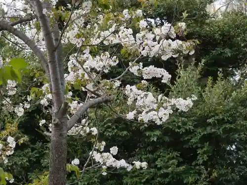 松陰神社の自然