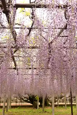 長泉寺(埼玉県)