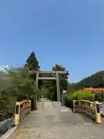 天津神明宮(千葉県)