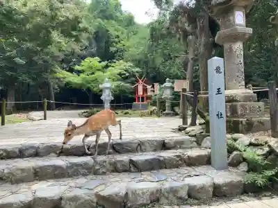 春日大社金龍神社（禁裡殿）(奈良県)