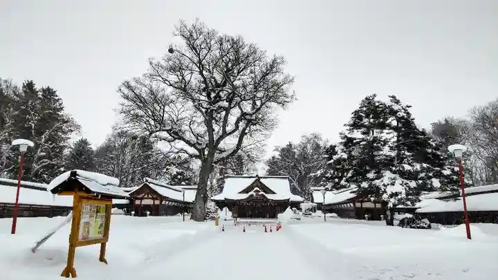 北海道護國神社の本殿・本堂