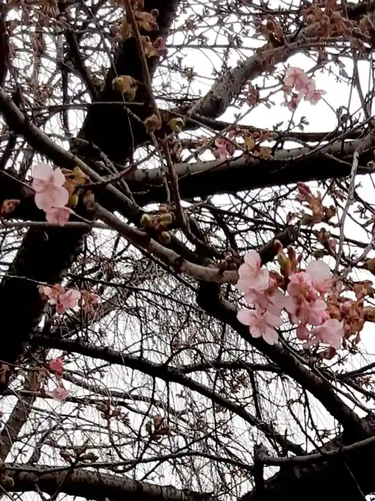 八重垣稲荷神社(東京都)