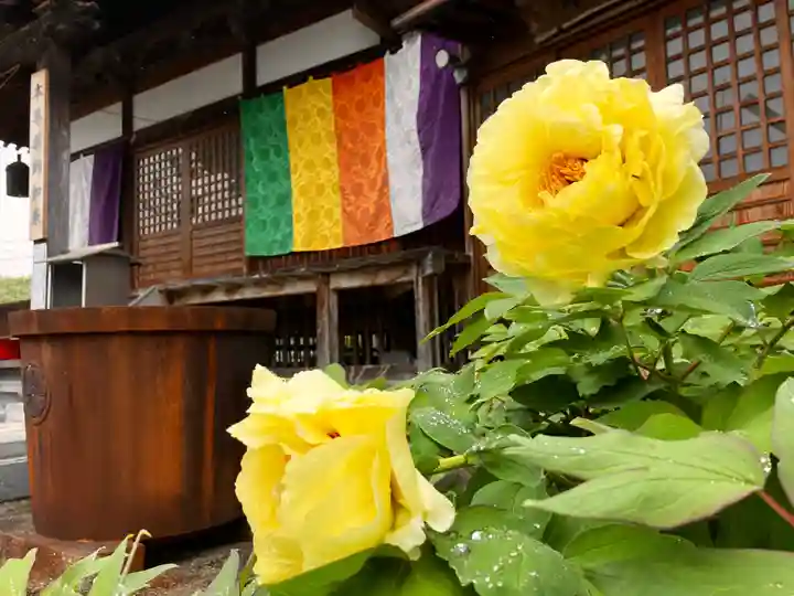 真言宗 善通寺派 薬王寺(香川県)