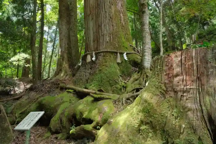 貴船神社の自然