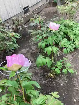 慈眼寺(神奈川県)