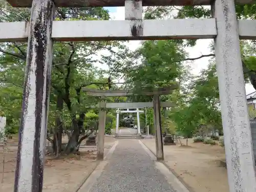 橘樹神社の鳥居