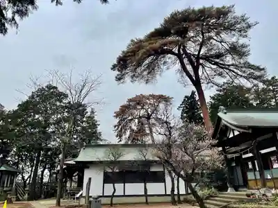久我山稲荷神社(東京都)