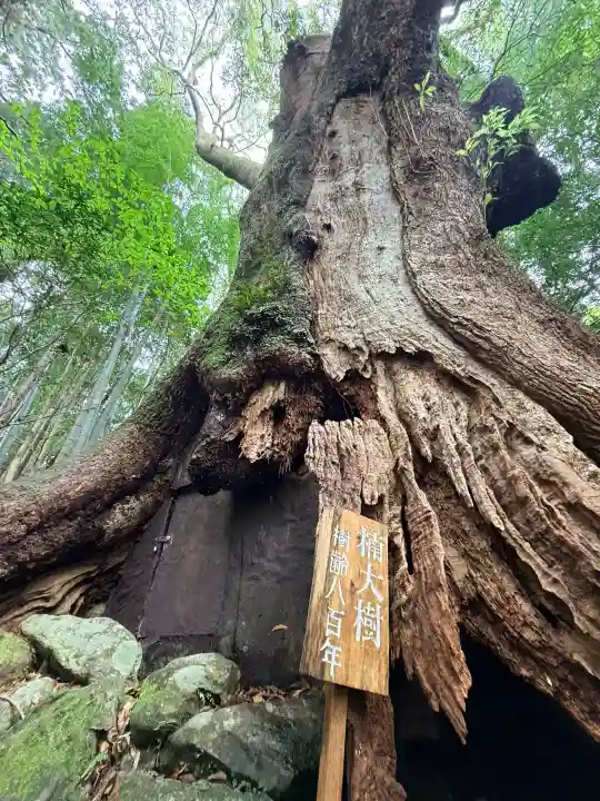熊野那智大社の{uncategorized: "未分類", other: "その他", undefined: "問題あり", building: "その他建物", grave: "お墓", sacred_gate: "鳥居", guardian: "狛犬", statue: "像", buddha: "仏像", history: "歴史", nature: "自然", garden: "庭園", animal: "動物", pagoda: "塔", temizu: "手水舎", mountain_gate: "山門・神門", sanctuary: "本殿・本堂", subordinate: "末社・摂社", art: "芸術", scenery: "景色", jizo: "地蔵", ema: "絵馬", goshuin: "御朱印", omikuji: "おみくじ", items: "授与品その他", amulet: "お守り", goshuincho: "御朱印帳", eats: "食事", festival: "お祭り", votive_dance: "神楽", shichigosan: "七五三参", wedding: "結婚式", experience: "体験その他", initially: "初詣", around: "周辺", anti_infection: "感染症対策"}