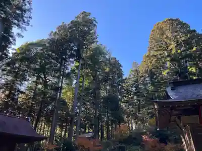大宮温泉神社(栃木県)