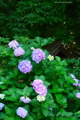 金王八幡宮(東京都)