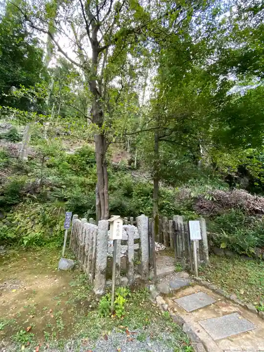 月読神社(松尾大社摂社)の自然
