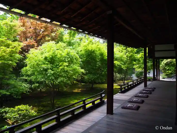 興聖寺(京都府)