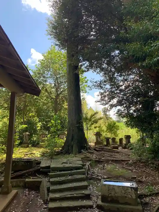 素羽鷹神社(千葉県)