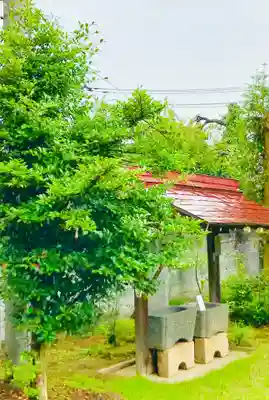 青麻神社の手水舎
