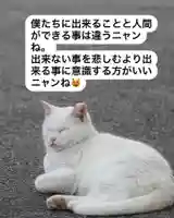 専念寺(大阪府)