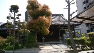 菩堤寺の本殿・本堂