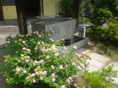 法性寺の手水舎