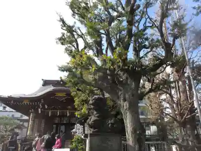 大鳥神社(東京都)
