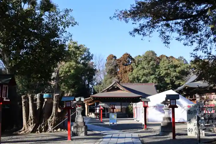 鷲宮神社(埼玉県)