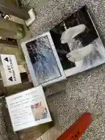 川越八幡宮境内 民部稲荷神社の{uncategorized: "未分類", other: "その他", undefined: "問題あり", building: "その他建物", grave: "お墓", sacred_gate: "鳥居", guardian: "狛犬", statue: "像", buddha: "仏像", history: "歴史", nature: "自然", garden: "庭園", animal: "動物", pagoda: "塔", temizu: "手水舎", mountain_gate: "山門・神門", sanctuary: "本殿・本堂", subordinate: "末社・摂社", art: "芸術", scenery: "景色", jizo: "地蔵", ema: "絵馬", goshuin: "御朱印", omikuji: "おみくじ", items: "授与品その他", amulet: "お守り", goshuincho: "御朱印帳", eats: "食事", festival: "お祭り", votive_dance: "神楽", shichigosan: "七五三参", wedding: "結婚式", experience: "体験その他", initially: "初詣", around: "周辺", anti_infection: "感染症対策"}