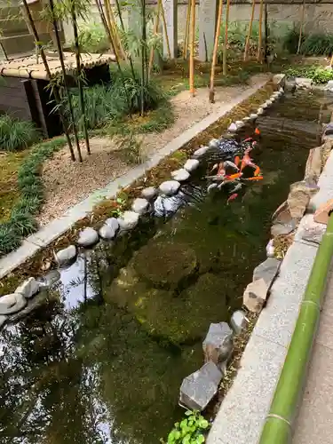 秩父神社の庭園