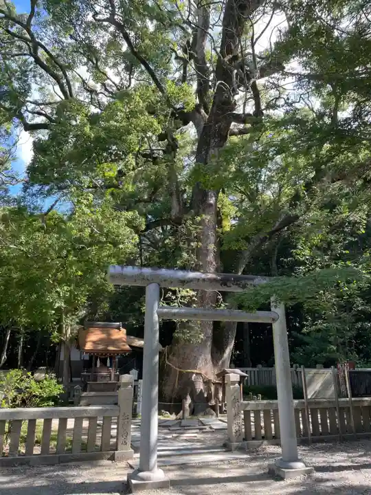 伊弉諾神宮(兵庫県)