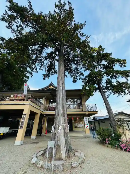 高麗神社(埼玉県)