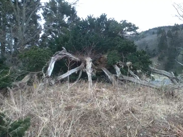梅内神社の自然