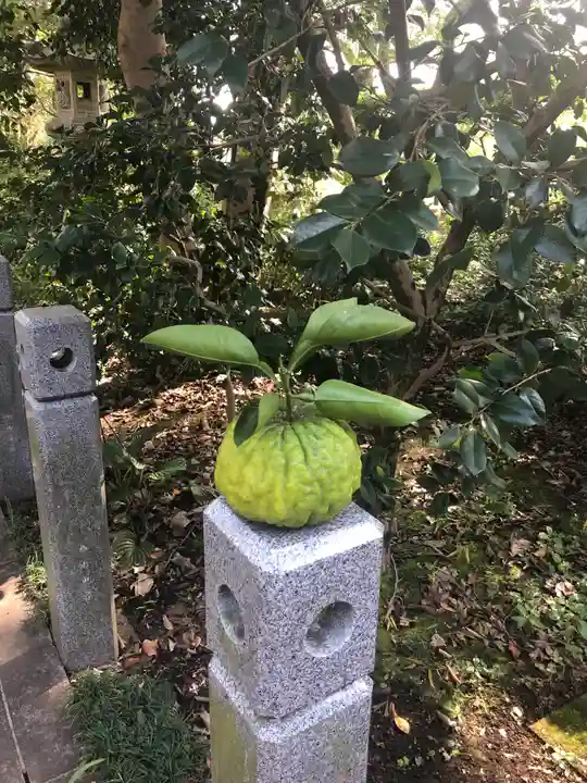 観蔵院 曼荼羅寺(東京都)