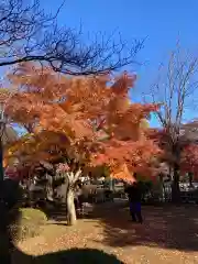 豪徳寺(東京都)