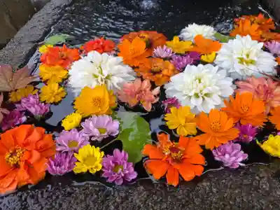 大鏑神社の手水舎