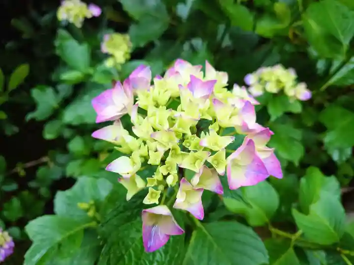 三千院門跡(京都府)