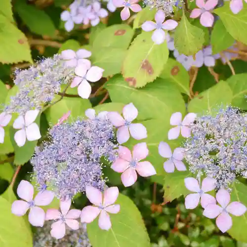 弘長寺(長野県)