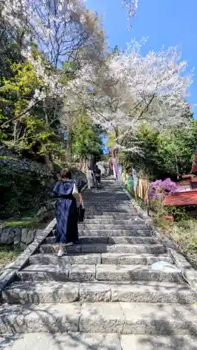 金櫻神社の{uncategorized: "未分類", other: "その他", undefined: "問題あり", building: "その他建物", grave: "お墓", sacred_gate: "鳥居", guardian: "狛犬", statue: "像", buddha: "仏像", history: "歴史", nature: "自然", garden: "庭園", animal: "動物", pagoda: "塔", temizu: "手水舎", mountain_gate: "山門・神門", sanctuary: "本殿・本堂", subordinate: "末社・摂社", art: "芸術", scenery: "景色", jizo: "地蔵", ema: "絵馬", goshuin: "御朱印", omikuji: "おみくじ", items: "授与品その他", amulet: "お守り", goshuincho: "御朱印帳", eats: "食事", festival: "お祭り", votive_dance: "神楽", shichigosan: "七五三参", wedding: "結婚式", experience: "体験その他", initially: "初詣", around: "周辺", anti_infection: "感染症対策"}