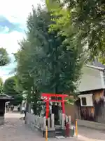 熊野大神宮(大阪府)
