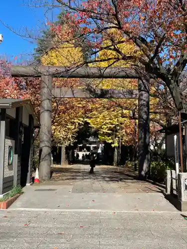 亀戸 香取神社(東京都)