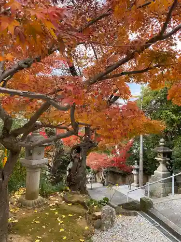 紅葉八幡宮(福岡県)