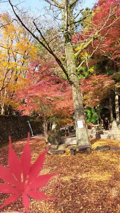 神峯山寺(大阪府)