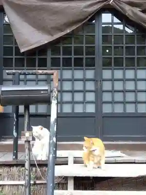 光珠院(埼玉県)