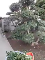 伏木香取神社の自然