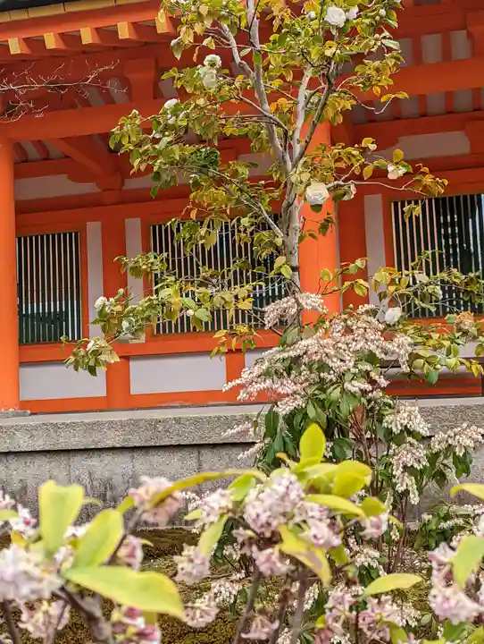 蓮華王院(三十三間堂)(京都府)