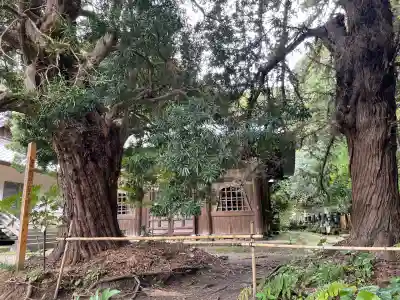 浄光明寺(神奈川県)