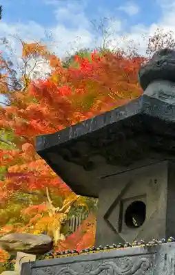 白峯寺(香川県)