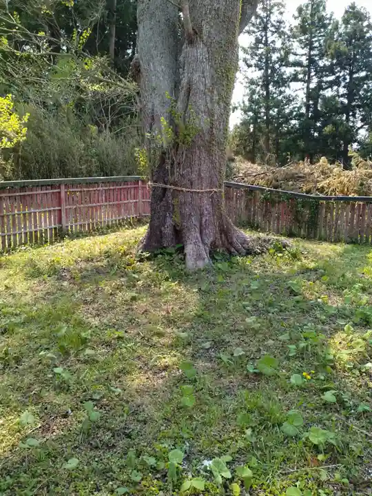 白羽箭稲荷神社(宮城県)