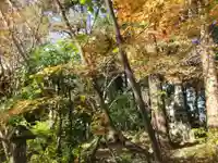 浄瑠璃寺(愛媛県)