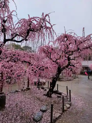 結城神社の庭園
