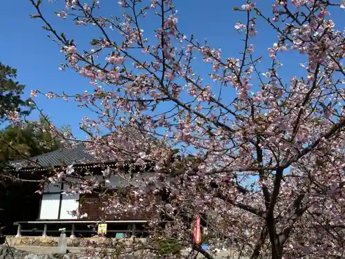 箕輪山満行院霊巖寺(埼玉県)