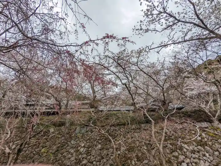 勝持寺(花の寺)(京都府)