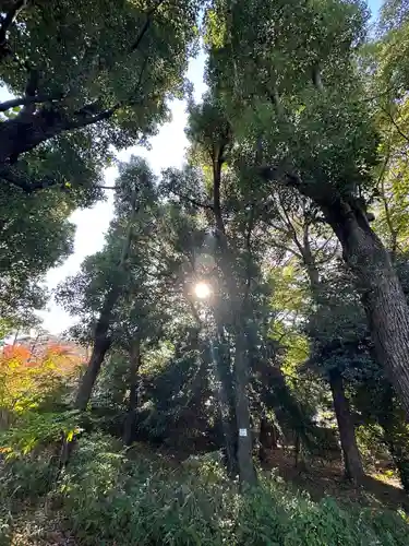 布多天神社(東京都)