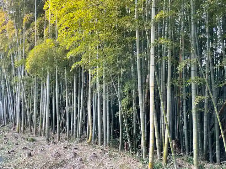 石清水八幡宮の自然